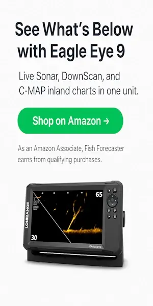 Lowrance Eagle Eye 9 inch fishfinder with live sonar, CHIRP sonar, and DownScan imaging with FishReveal technology