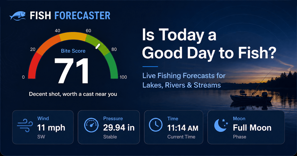 Fishing Forecast – Real-Time Fishing Forecasts Near You