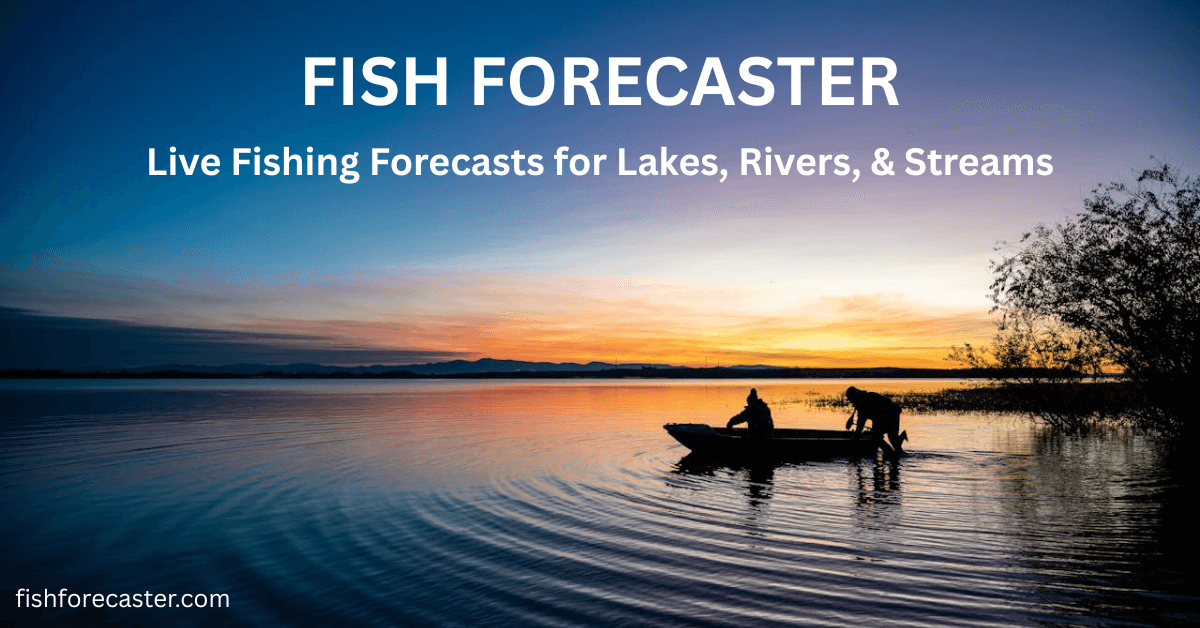 Fishing Forecast – Real-Time Fishing Forecasts Near You
